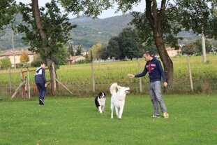 60e07295-8645-4a75-8d08-ce6c21d33af8