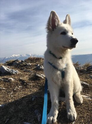 90d519c2-6568-46e7-a715-c39331b59c2c