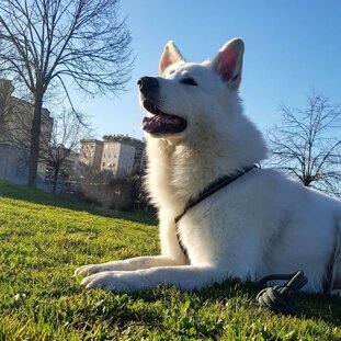 b9766cff-fda4-4661-b839-ae6c3f61c88d