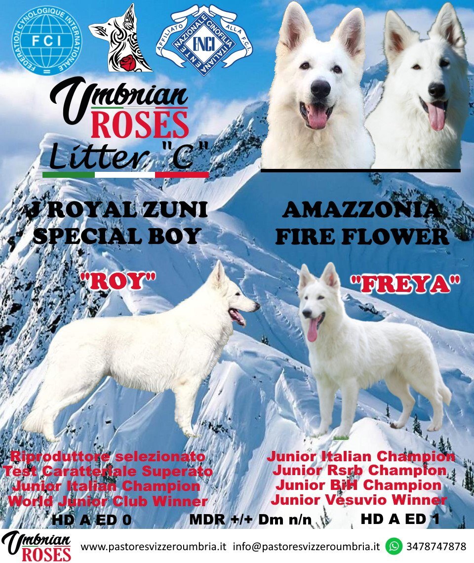 47e5c23d-8a2b-418e-abd2-4a0d36623180