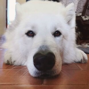 7fac8675-d523-4e02-9e2f-981fe972d926