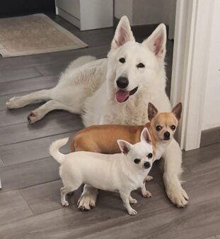 b6992d00-7f08-4e7e-ad65-d6c695329f8d