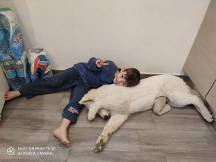 4da5c106-2d69-4e15-9007-d9e28bcef22f