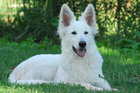 7aa8064e-fcae-494c-a1d4-09058c4dbb82