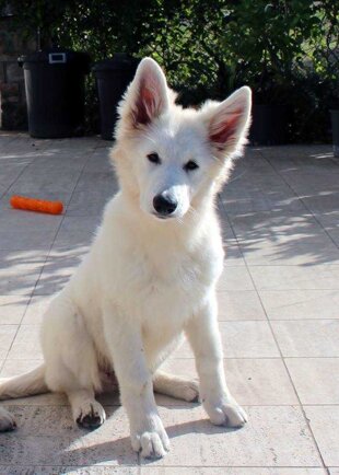 1566201c-339b-4426-8492-afcb9a7eb0a5