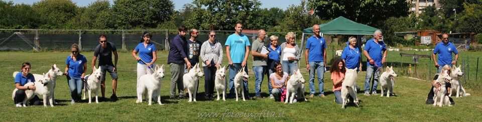 45e58210-5c8f-4174-9c99-a7dd6a018f35 45e58210-5c8f-4174-9c99-a7dd6a018f35