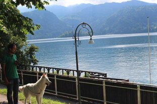 85cd87b0-7d22-42cc-90b5-9be5d90fbbe5