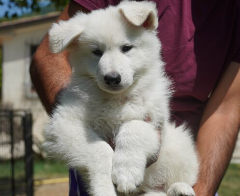 233cd659-46db-4c6b-8423-318d6a368d96