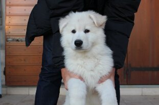 68509cde-38d3-4bd7-91be-16e8fdfa6b0d