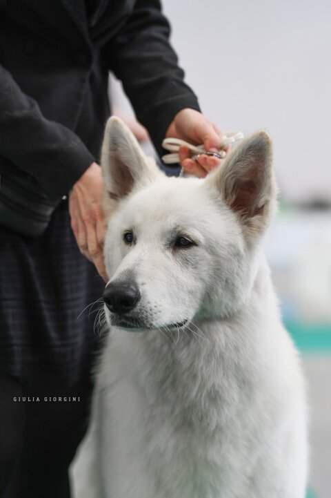 68850066-7962-4923-a091-0272093ebcd7