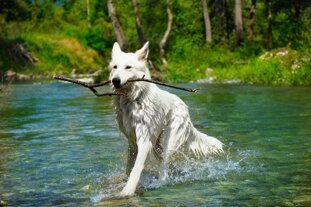 d9ef83d6-4679-48d2-9ca0-75323e4ea616