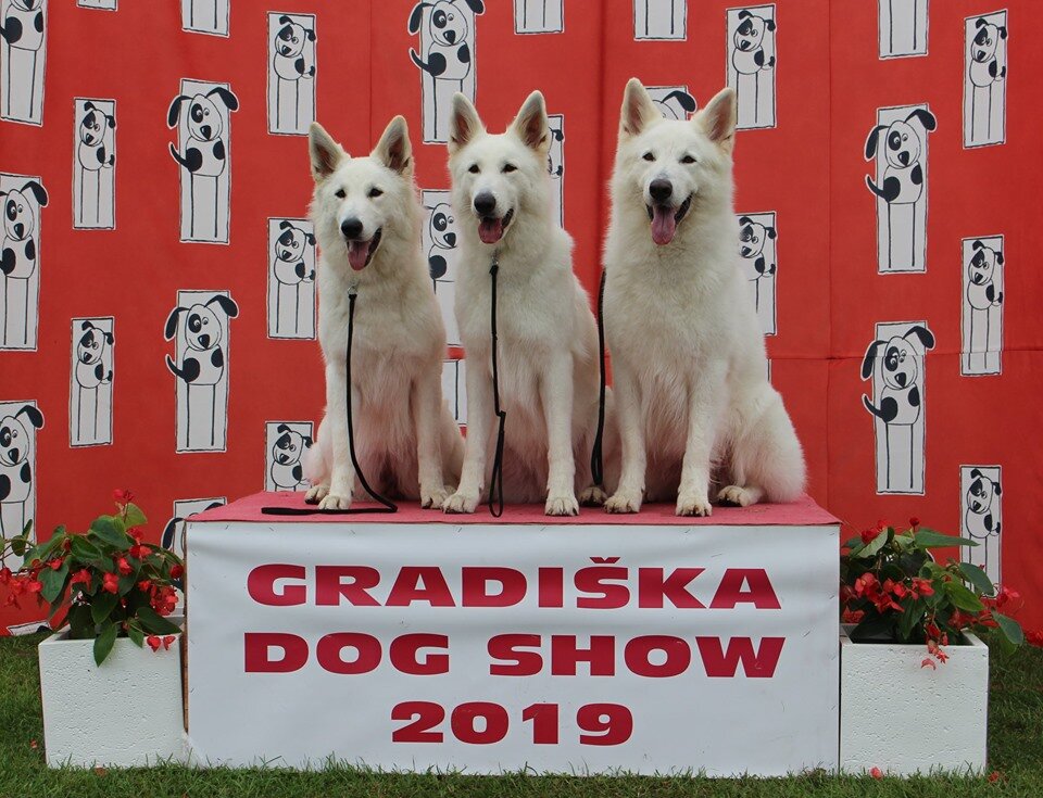 bdde6ffd-3076-456a-a601-918acf79e87c bdde6ffd-3076-456a-a601-918acf79e87c