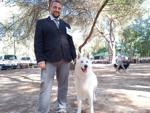 773ad2a1-6957-4a55-bfd3-45d266f9a393