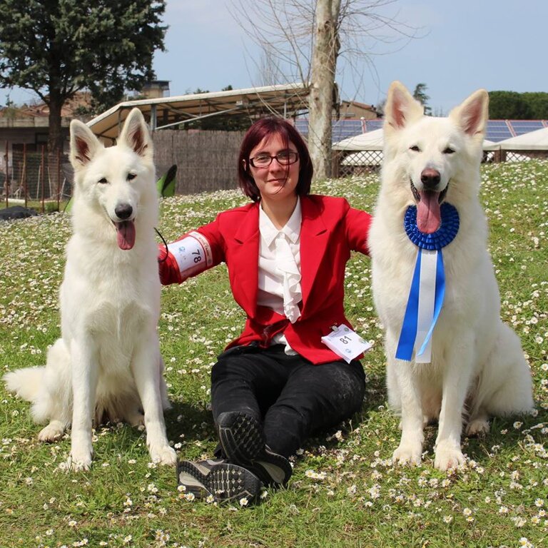 52e9eb1f-9eac-403d-bb5e-827132a3f148 52e9eb1f-9eac-403d-bb5e-827132a3f148