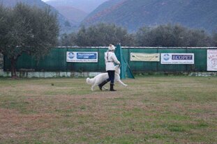 2280bf83-fd0e-49cc-a8b4-d321473067fa 2280bf83-fd0e-49cc-a8b4-d321473067fa