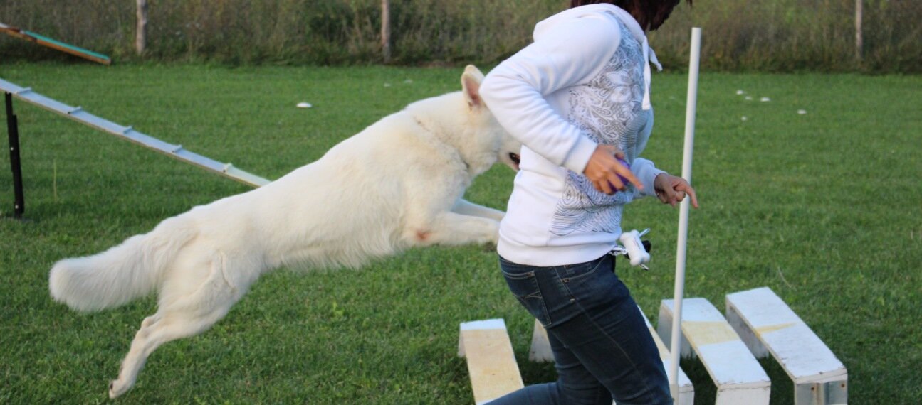 708b9980-3f45-49d3-a87d-5ce189fbd3e7.jpg 708b9980-3f45-49d3-a87d-5ce189fbd3e7.jpg