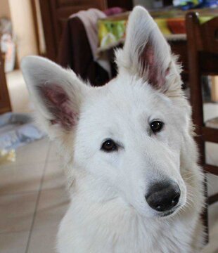 25c7e727-d3ce-421b-82a9-94eec863c09d