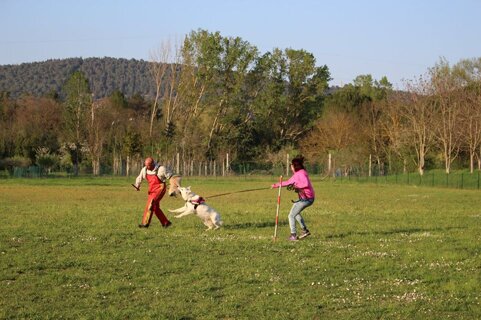 ea1b537d-d29a-4855-bc69-83e6c01edb93