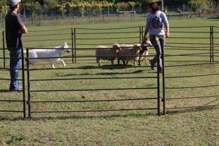 acf4d8a3-4aa4-48b7-9e90-83aa9be76ba4