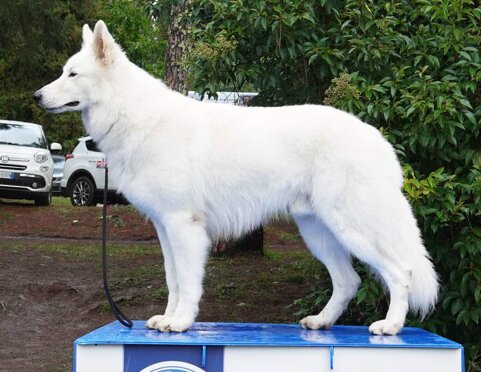 ab057b3d-6ec2-4ae4-b4ec-29a50c6b95c5