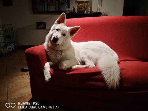 42ccca22-783b-4968-8a58-3b0dfed7569c