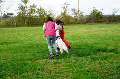 3daede35-d029-4fc2-abb1-8f4a2aeac01f 3daede35-d029-4fc2-abb1-8f4a2aeac01f