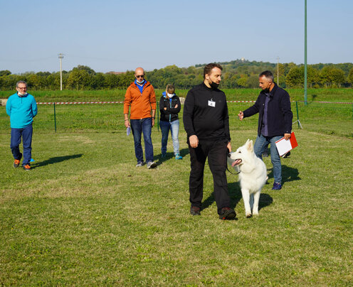Seguiti dal gruppo dopo suo attraversamento Seguiti dal gruppo dopo suo attraversamento