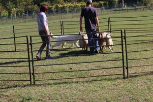 1bcb3670-18e0-4f58-89d3-662808724f18