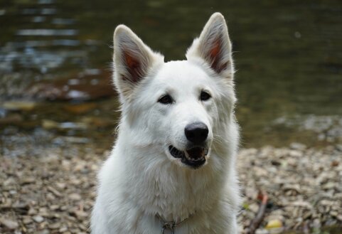 60f56cc7-8a85-423b-b373-e54193e794ca