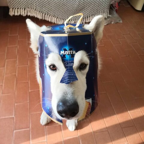 300024cd-24d0-4fd2-b7e9-8d3f4a0e6db9