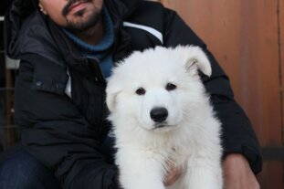 45b6cce0-251f-4edc-9ff9-24c664b606c0