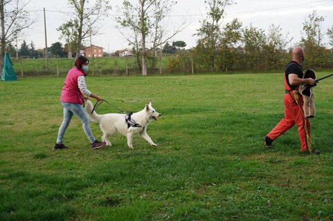 6c3a3d56-daac-497d-b962-d3c47049337d 6c3a3d56-daac-497d-b962-d3c47049337d