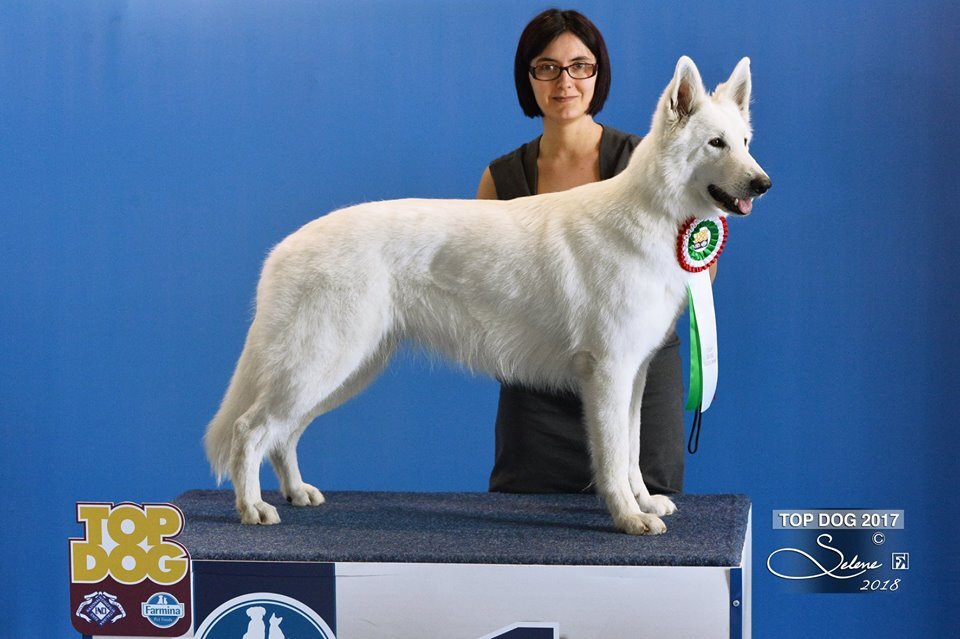 5ca57dce-46a0-4347-8aa6-d78fa452f003 5ca57dce-46a0-4347-8aa6-d78fa452f003