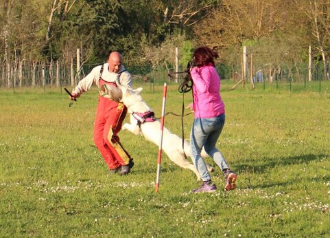 aa1a880c-2cbe-4ea0-8e5e-e4d527054f4a