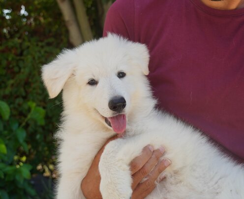 d8ddca93-7043-4d07-9388-6b0f200cf6fe