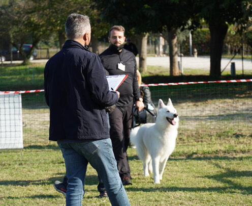 TC Superato TC Superato