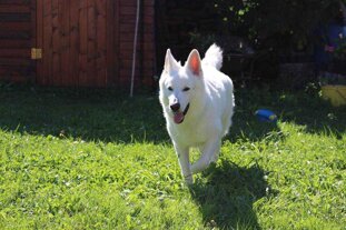 ccae0829-46c6-4087-9673-c4dcc2d2e1a1