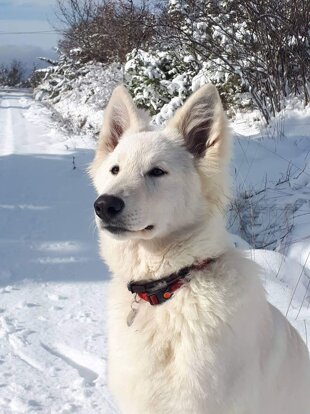 2991dfe3-6f61-479a-98a8-93ab1284f675