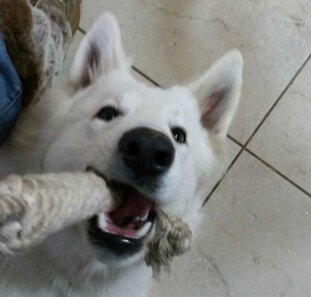 5297a6e6-7f97-4f47-8971-aac2fdb93674