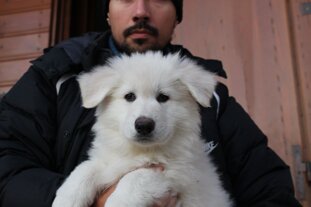 ac3c65b6-db32-4640-a66e-1317f9a94212