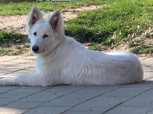 74c8d0bd-87d2-470e-a83c-ef5bca252de8