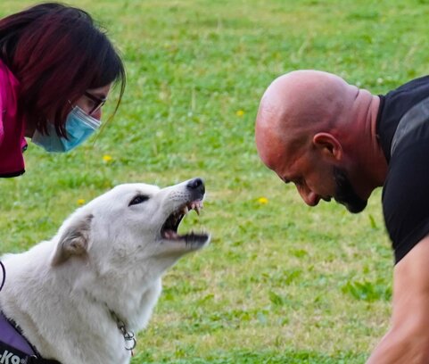 f3f66d95-a660-486a-ba70-7aae0f975497 f3f66d95-a660-486a-ba70-7aae0f975497