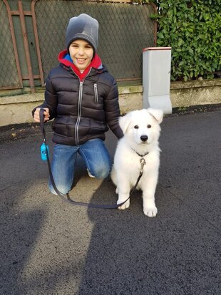 cf325a73-36b1-4498-9516-19d40e72907d