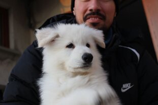 ec356bda-0a65-47fe-b0df-f085b95094d2