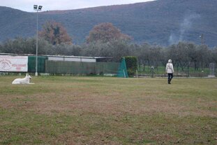 96700625-0811-4c0f-8739-375e040c0825 96700625-0811-4c0f-8739-375e040c0825