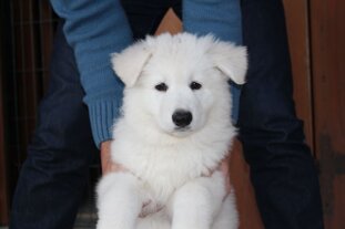 e076a39b-16ea-4bb6-a2c4-f9ac22121b1e