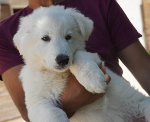 10a7607f-8e08-4193-a2bb-4f09f24e1b83