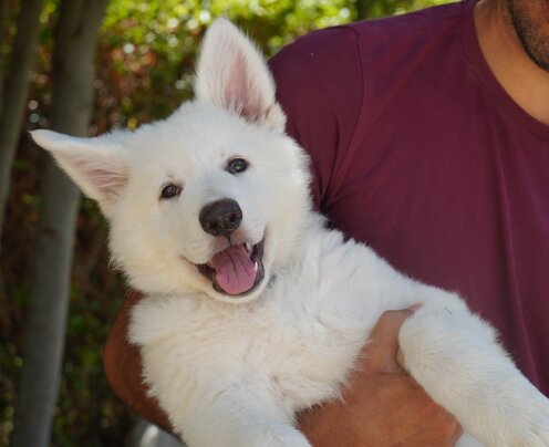 7fb9b18e-d712-449e-8920-3d9652e49b55