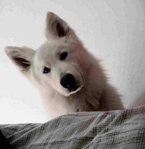 0e6e0fe6-df03-4e06-9539-d0e982de013d