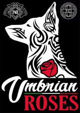 450788be-b7fe-439d-8cfb-125fca2c4cae